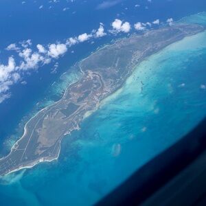 Meet your Posher, Tinker Bell